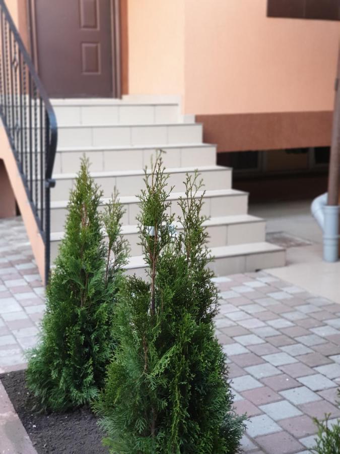 Villa Accommodation 布加勒斯特 外观 照片