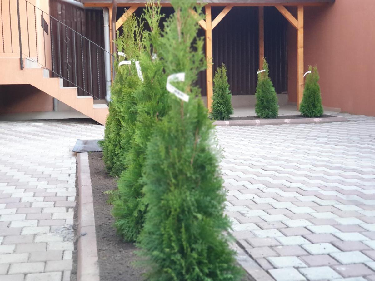 Villa Accommodation 布加勒斯特 外观 照片